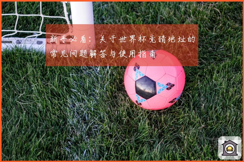 新手必看：关于世界杯竞猜地址的常见问题解答与使用指南