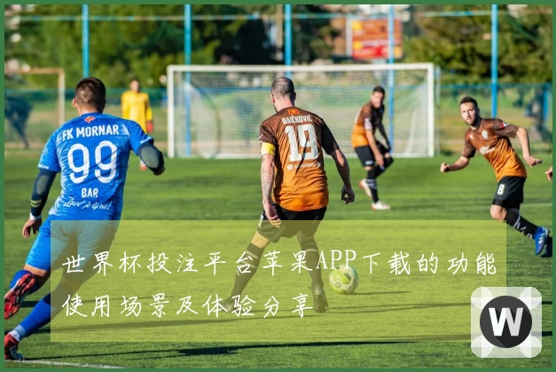 世界杯投注平台苹果APP下载的功能使用场景及体验分享