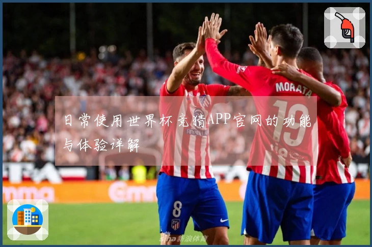 日常使用世界杯竞猜APP官网的功能与体验详解