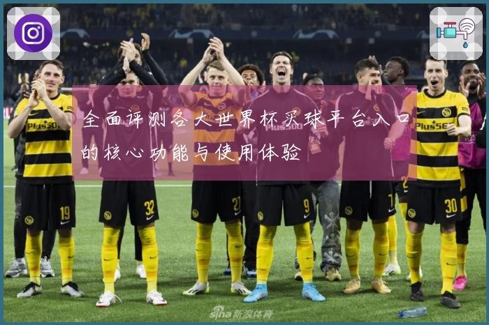全面评测各大世界杯买球平台入口的核心功能与使用体验