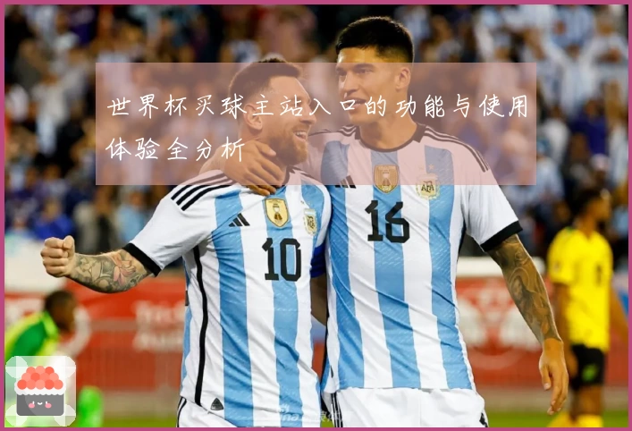 世界杯买球主站入口的功能与使用体验全分析