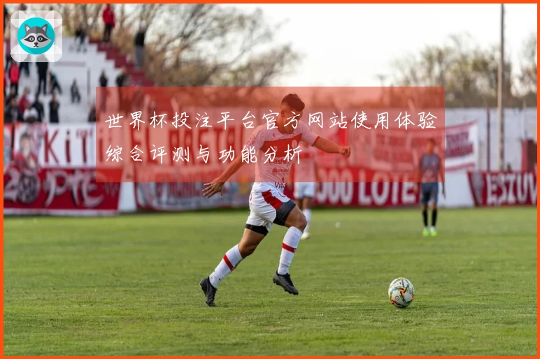 世界杯投注平台官方网站使用体验综合评测与功能分析