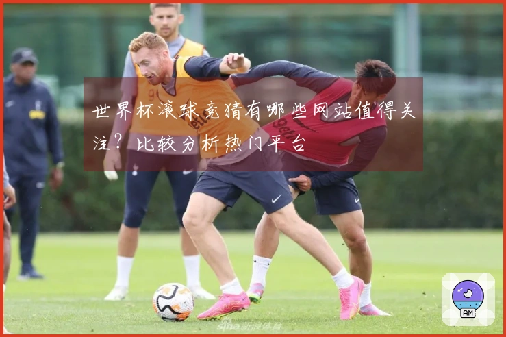 世界杯滚球竞猜有哪些网站值得关注？比较分析热门平台