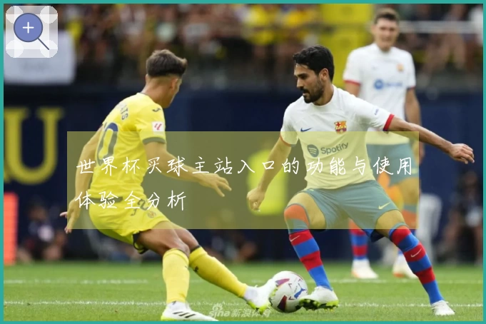 世界杯买球主站入口的功能与使用体验全分析