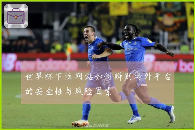 世界杯下注网站如何辨别海外平台的安全性与风险因素
