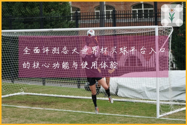 全面评测各大世界杯买球平台入口的核心功能与使用体验