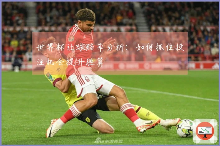 世界杯让球赔率分析：如何抓住投注机会提升胜算