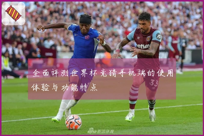 全面评测世界杯竞猜手机端的使用体验与功能特点